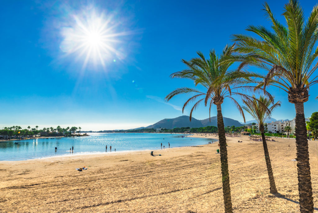 Platja de Alcudia, beautiful sand beach with palm trees on Mallorca, Spain Mediterranean Sea