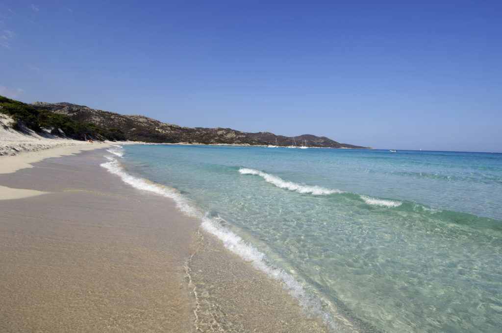 Saleccia beach