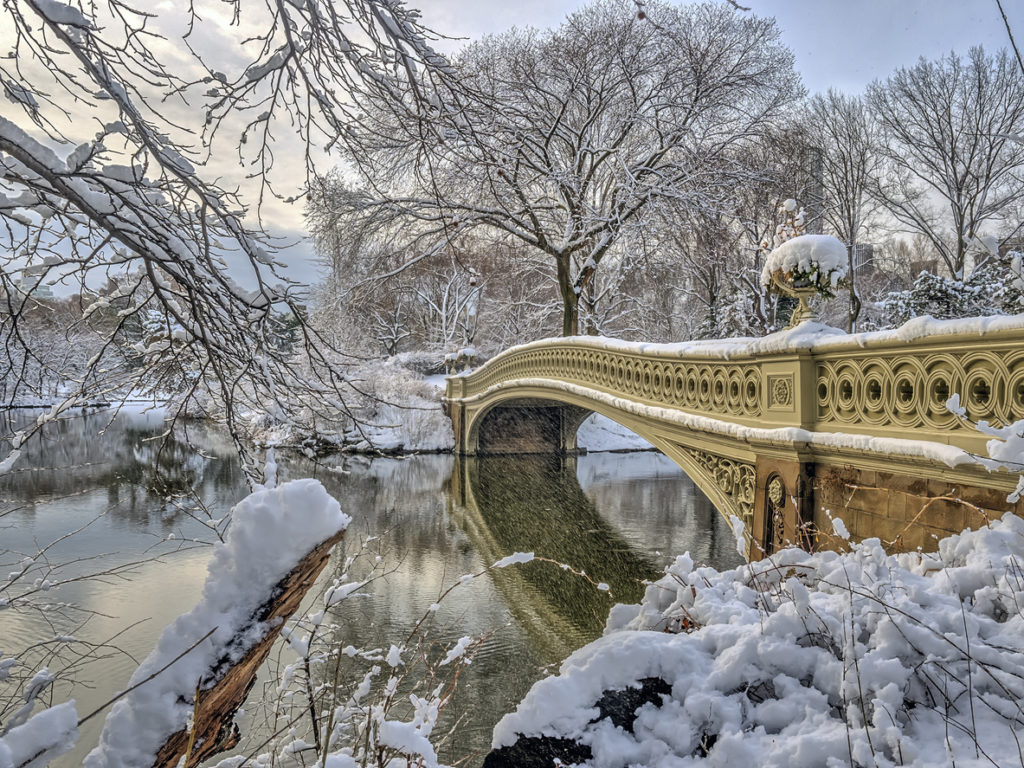 The Bow Bridge is a cast iron bridge located in Central Park, New York City, crossing over The Lake