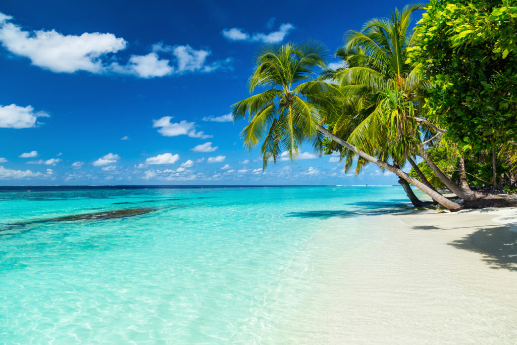 The Maldives