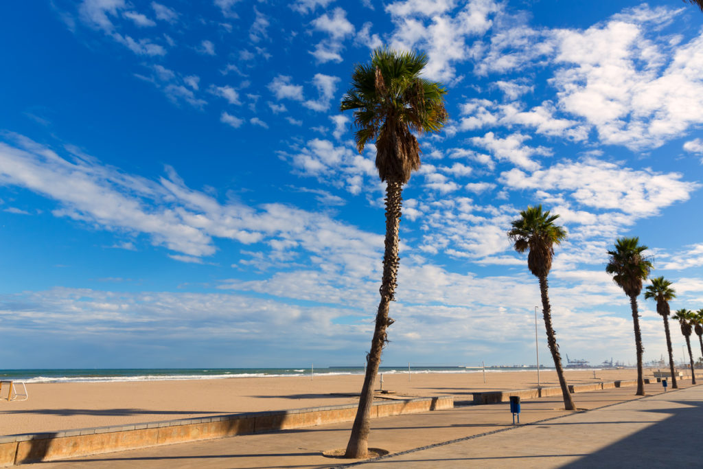 Valencia Malvarrosa Las Arenas beach palm trees in Patacona of Alboraya spain