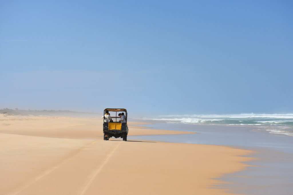 Beach Excursion in Senegal