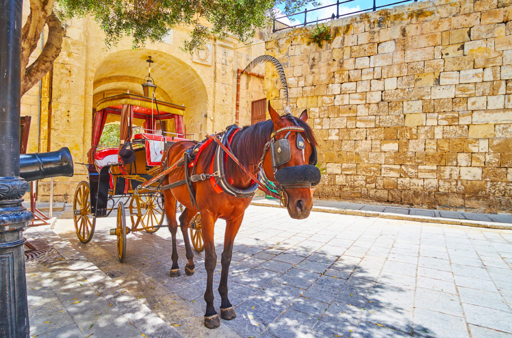 Vintage style tour along the streets of Mdina, Malta