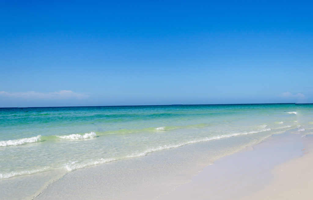 places to visit near siesta key florida