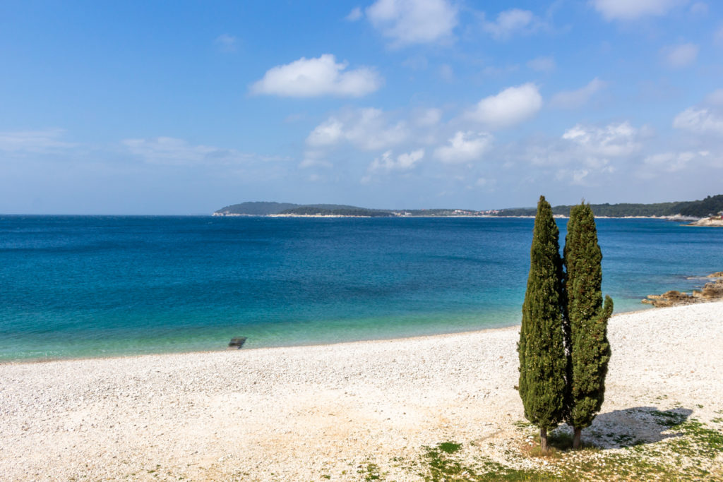 Cypress trees on Ambrela Beach Pula Croatia