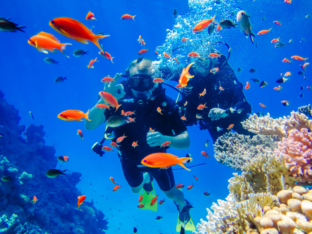 Diving at the Coral Reefs in the Red Sea