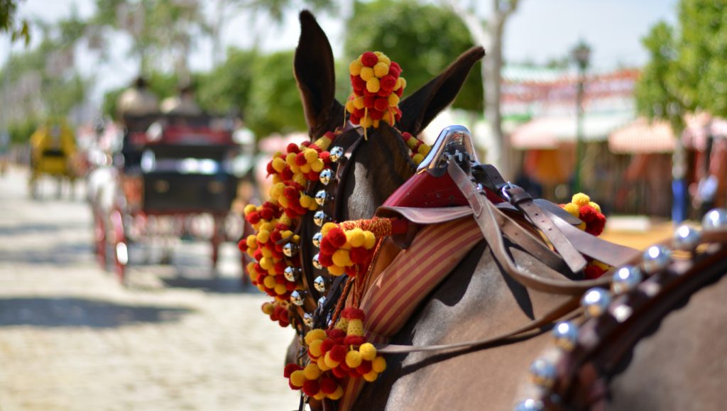 Traditional Spanish Horse and Cart