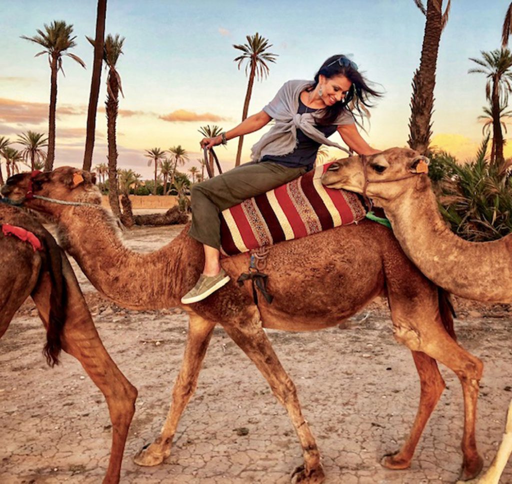 Camel at Sunset in the desert outside of Marrakesh