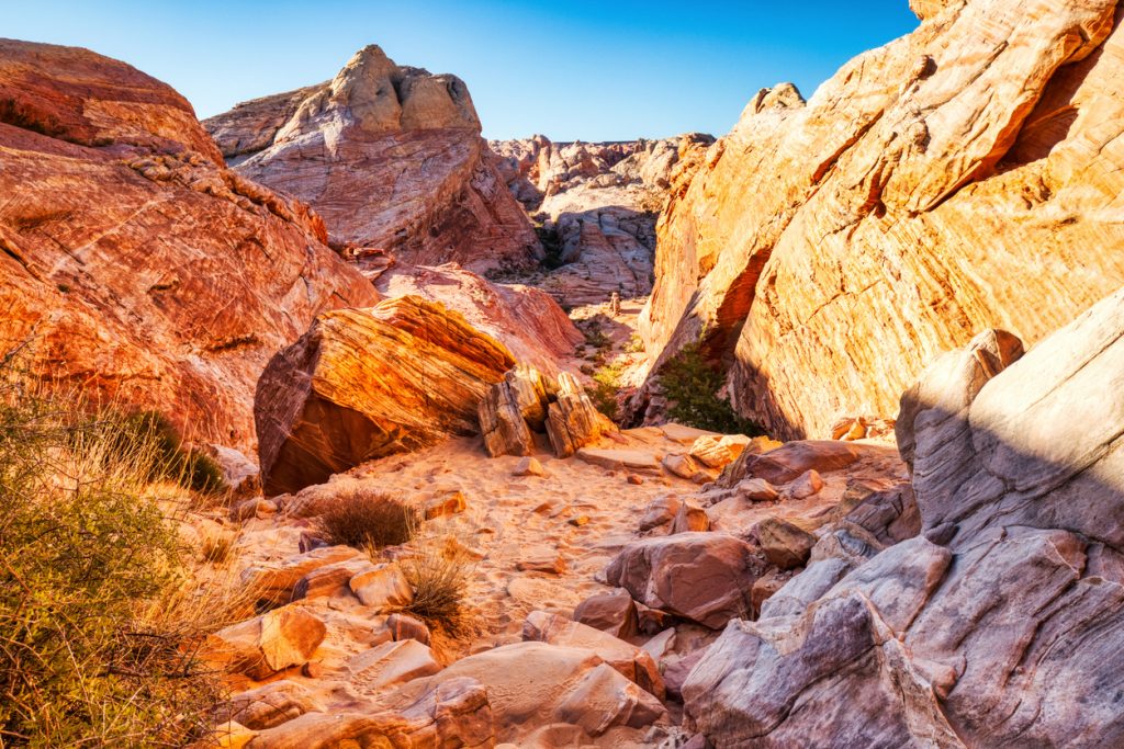 Red Rock Canyon National Conservation Area