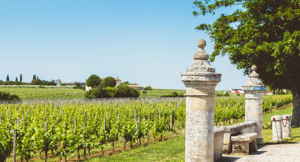 Saint Emilion wine, Chateau Soutard