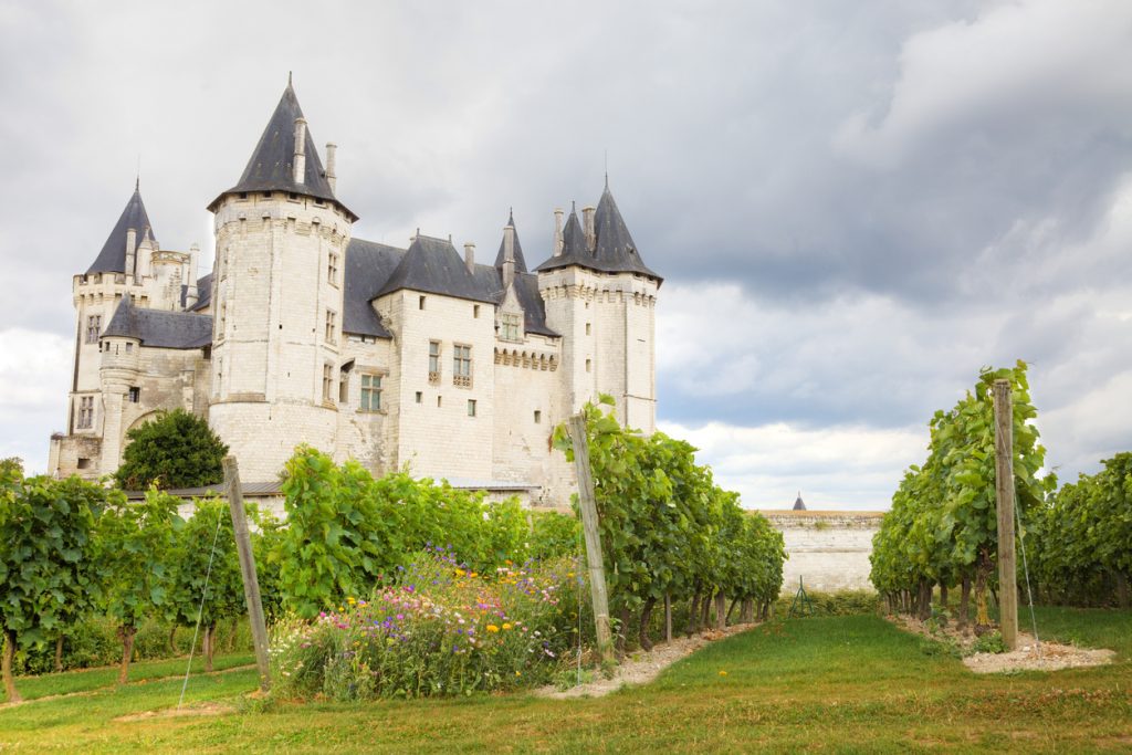 Saumur chateau and vineyard