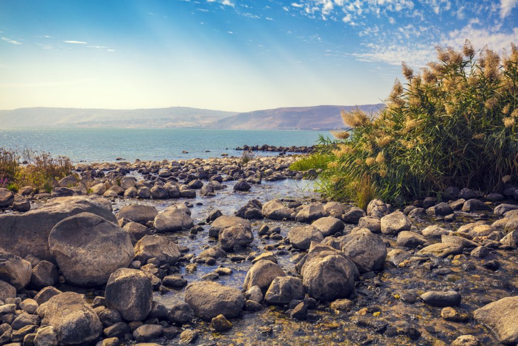 The coast of the Sea of Galilee near Ein Eyov Waterfall in Tabgha