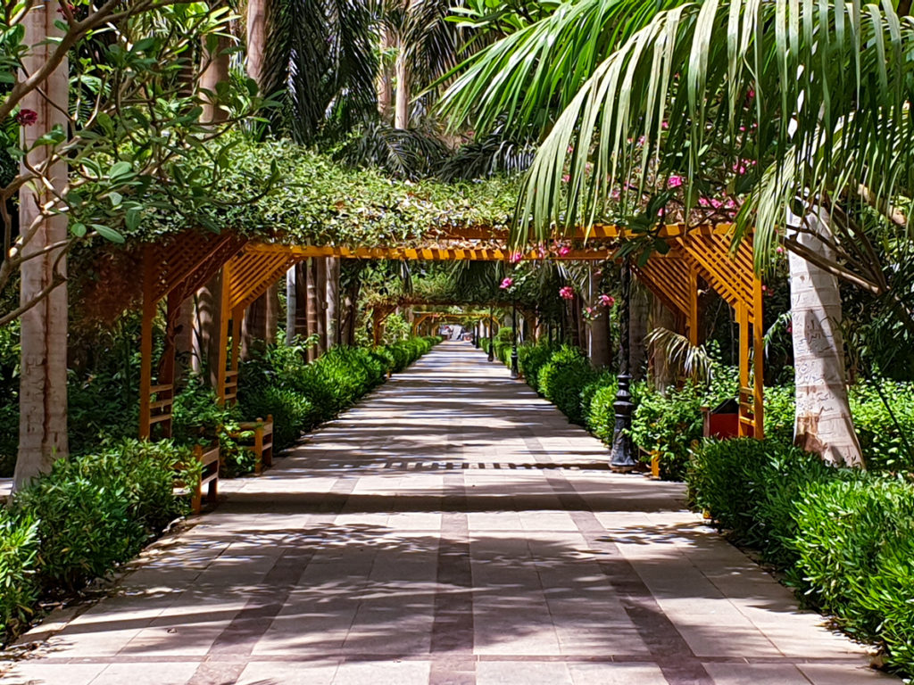 Botanical Gardens in Aswan Egypt