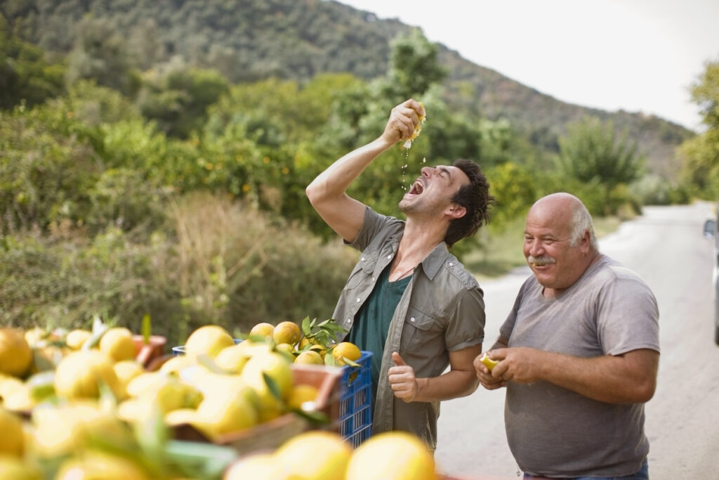 Fresh Greek Lemons and Oranges