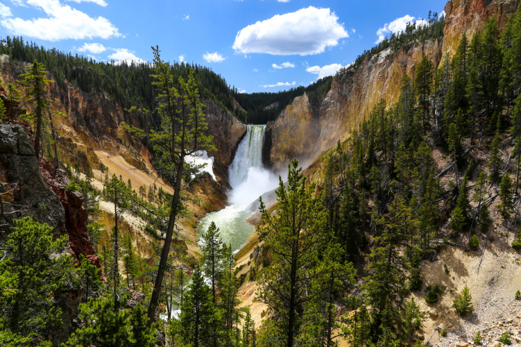 Lower falls of the Yellowstone in summer