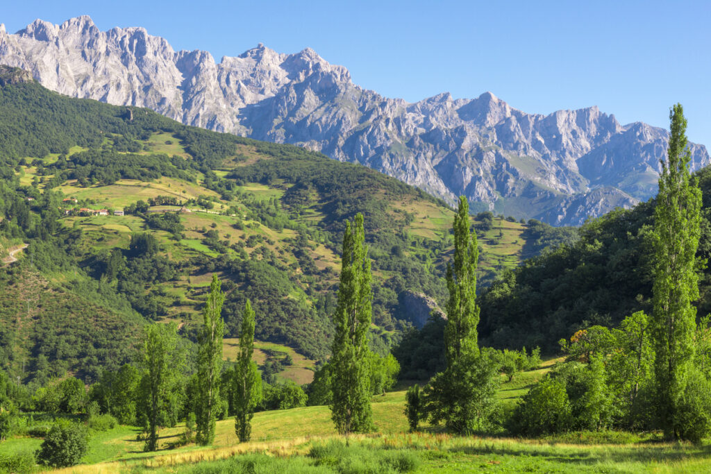 Picos de Europa national park