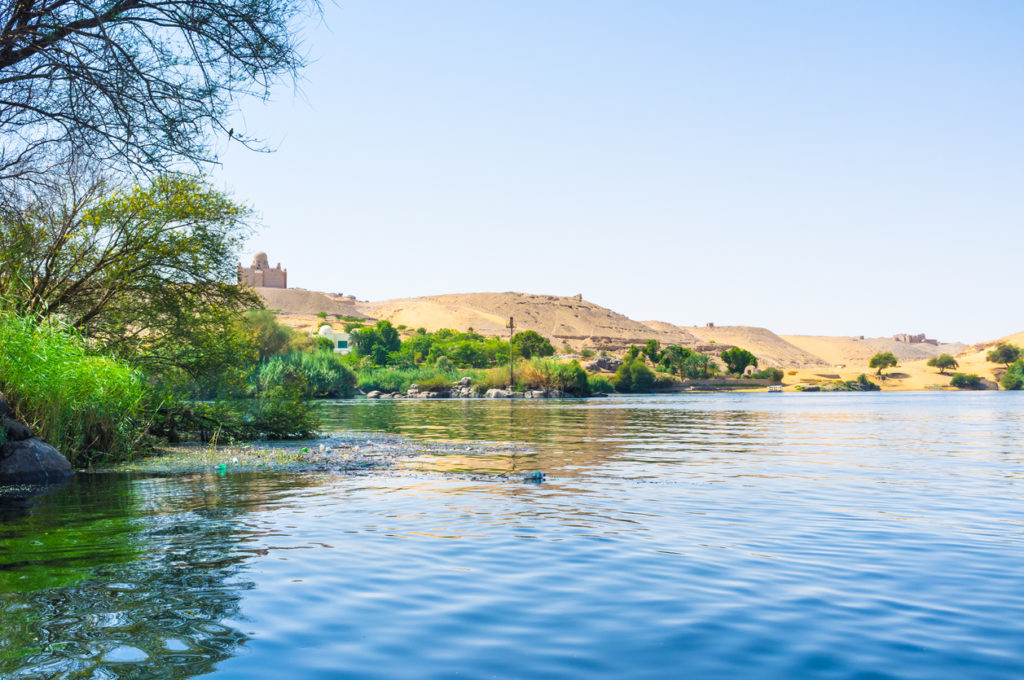 The Nile banks are covered with green plants, Aswan, Egypt.