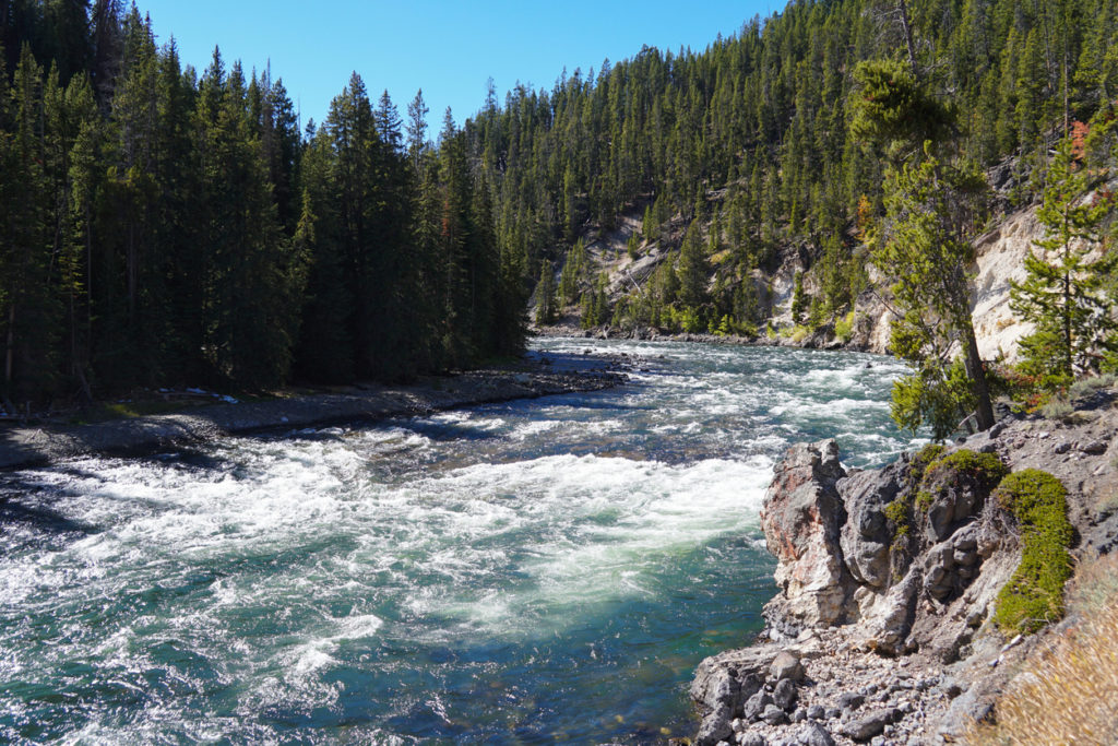 The Yellowstone River Before the Falls