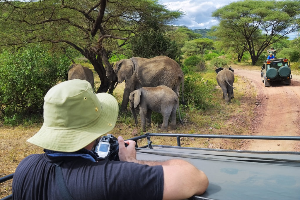 Family of elephants in Lake Manyara National Park, Tanzania, Africa