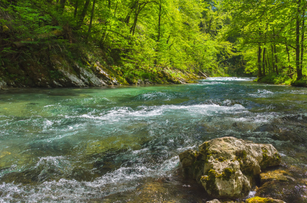 Fast clear waters of Radovna river in Vintgar Gorge Canyon near Bled, Julian Alps, Slovenia