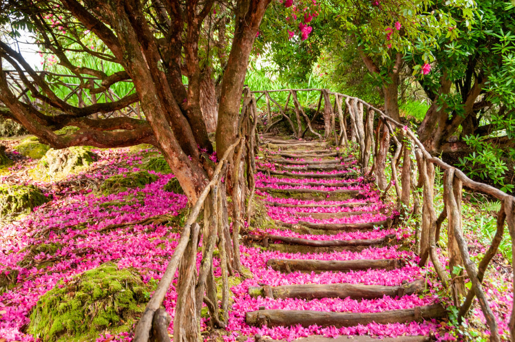 Hiking trail in Madeira