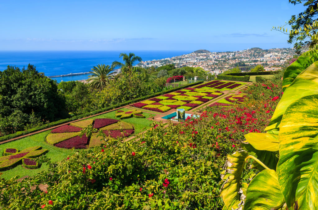 Monte tropical gardens in Funchal town, Madeira island, Portugal