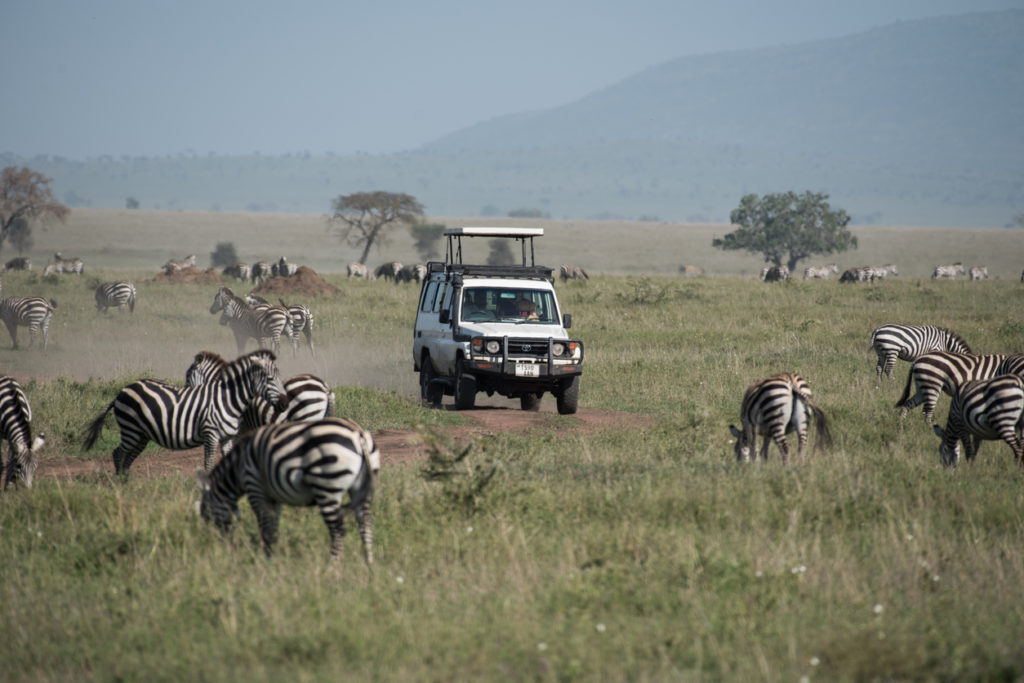 Safari in Tanzania