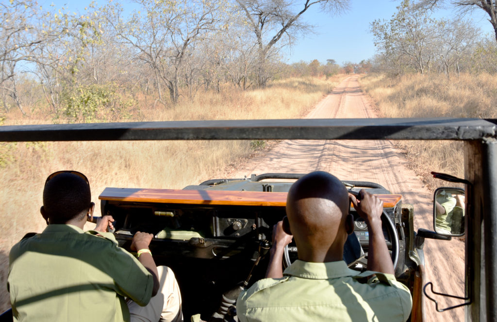 Safari in Tanzania