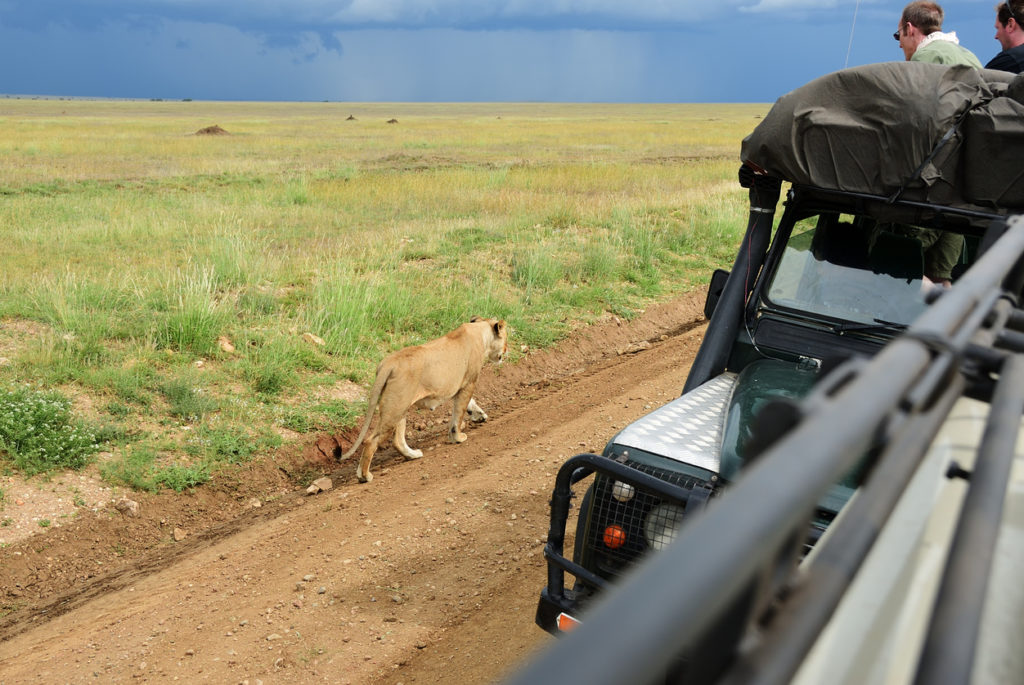 Serengeti. Tanzania