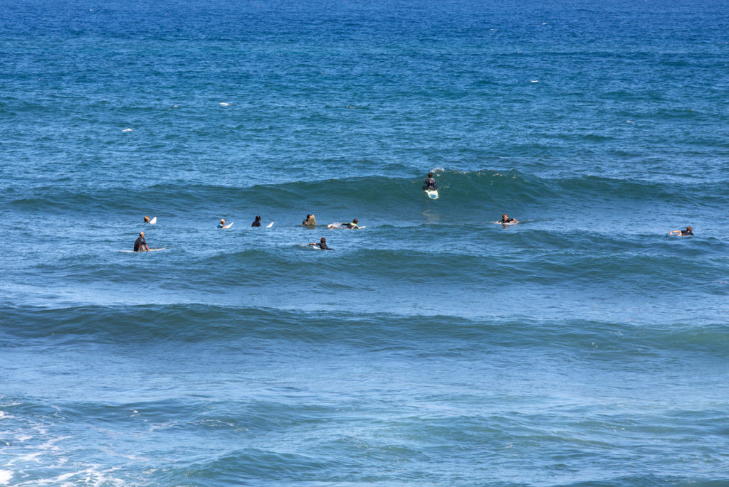 Surfers in action on Madeira Island