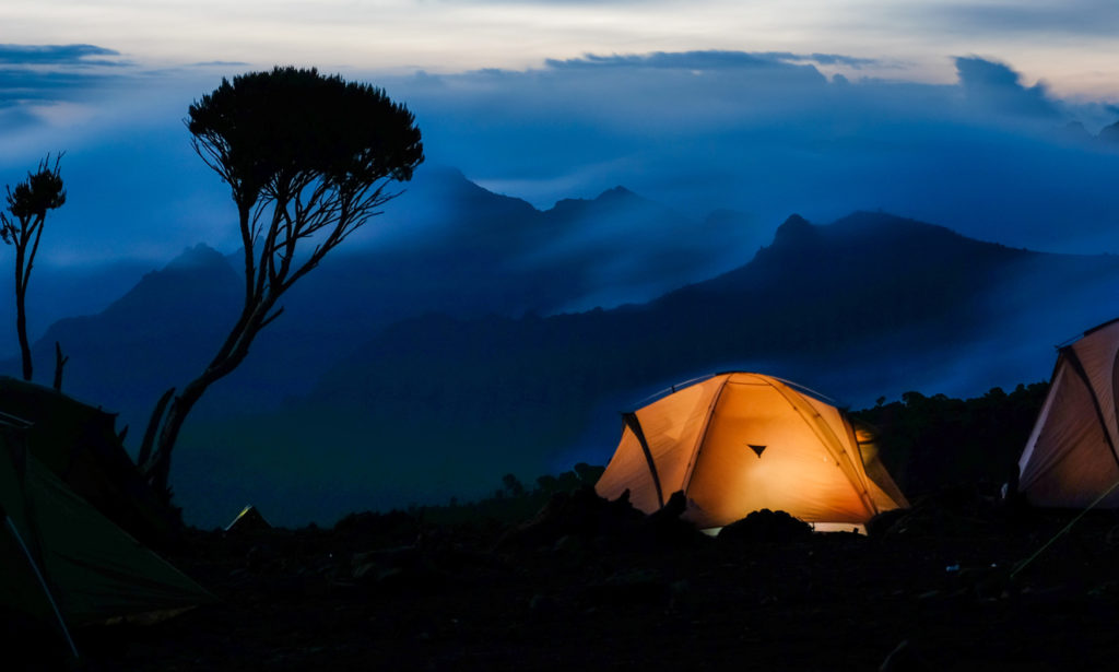 Trek to Kilimanjaro