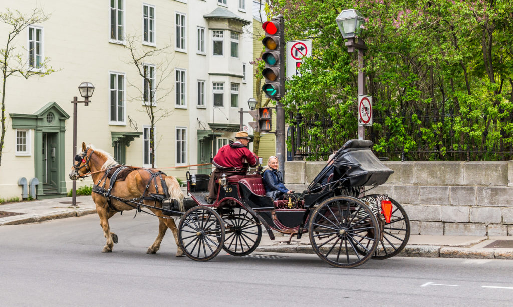 Horse Carriage Buggy for Tourists in Quebec City