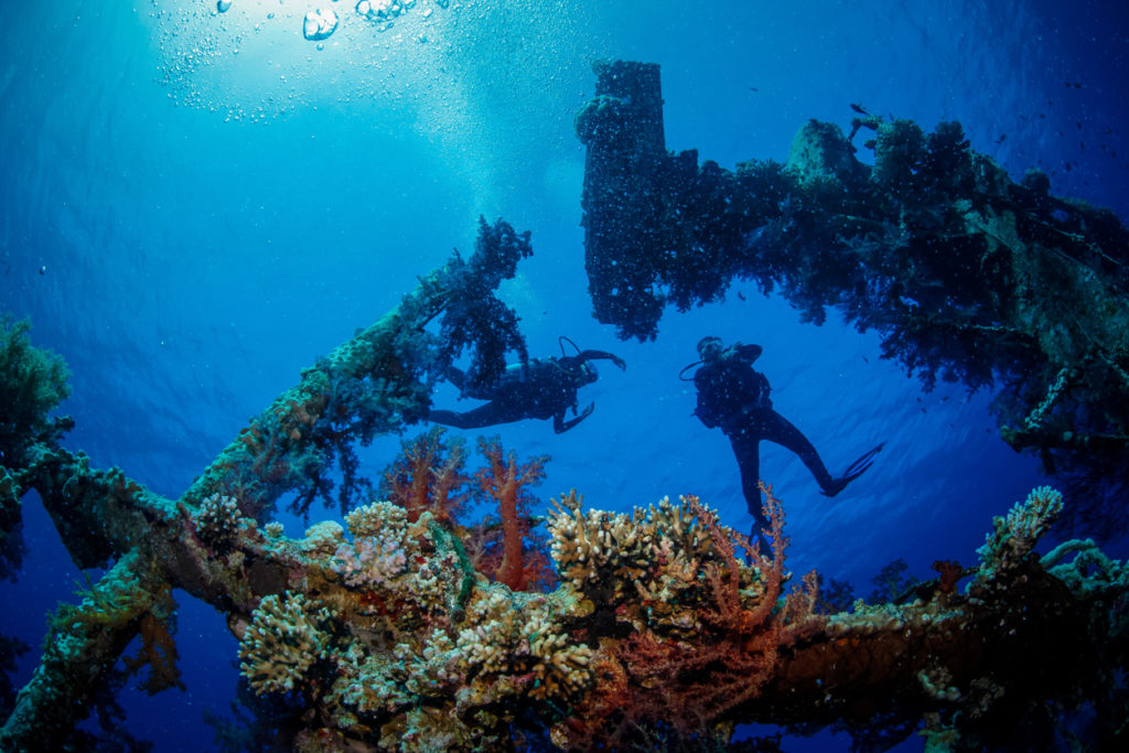 Ship wreck Cedar Pride located at the southern beach of Aqaba, Jordan