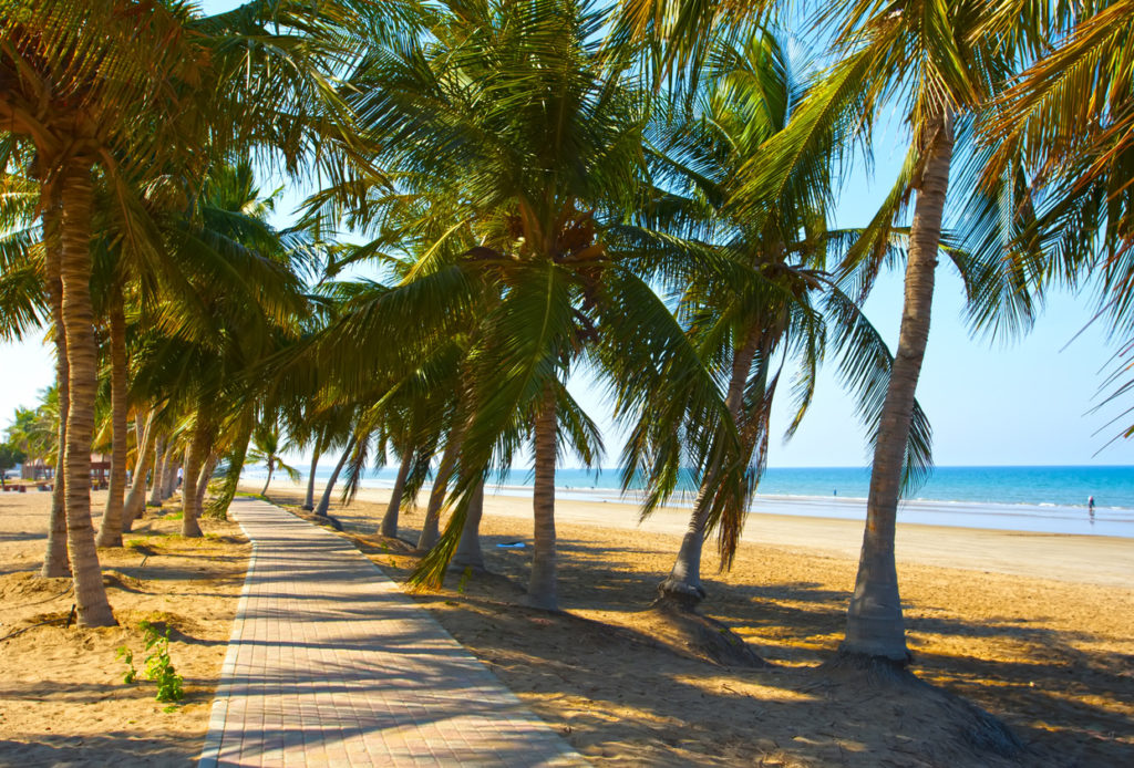 White sandy beach of Oman. Sea, palm trees, clean sand