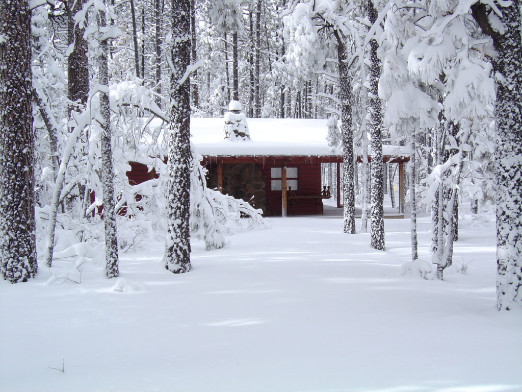 Cabin in the woods of Northern Arizona