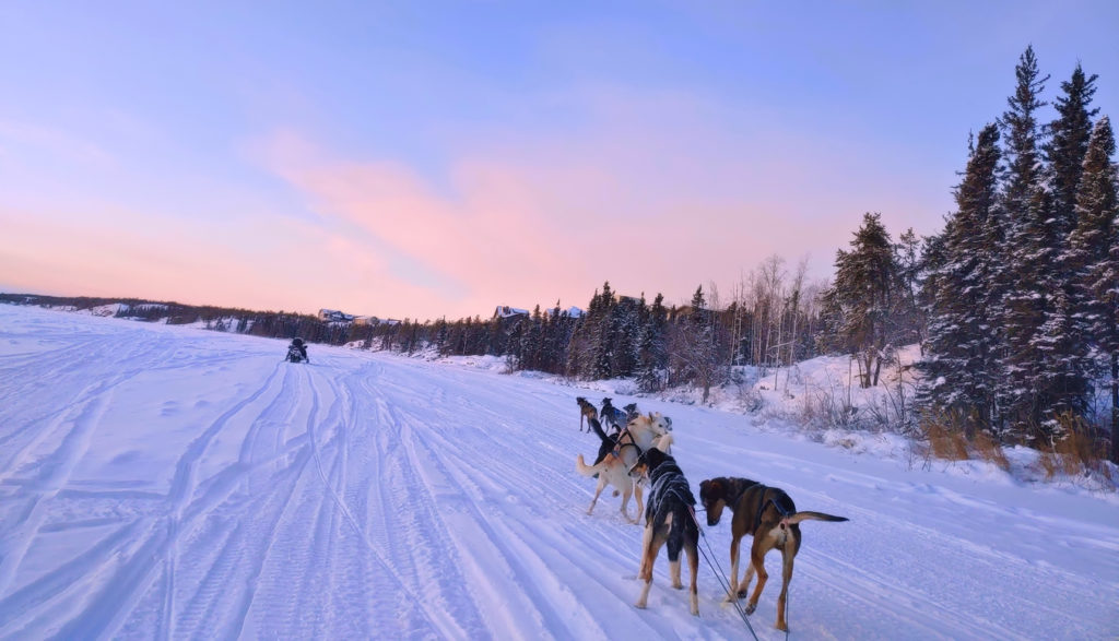 Dog Sledding with a beautiful sky above the frozen lake covered with snow in Canada