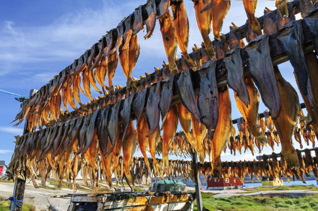 Dried fish in Rodebay settlement - Greenland