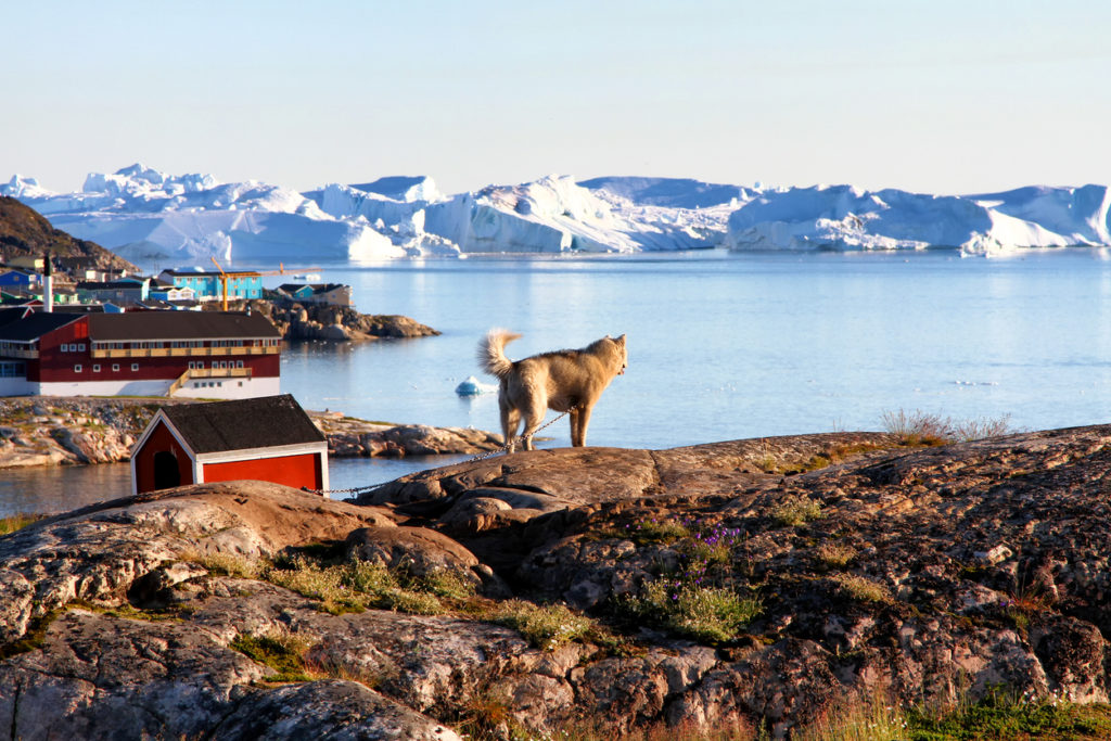 Enjoying the view over the Disko Bay