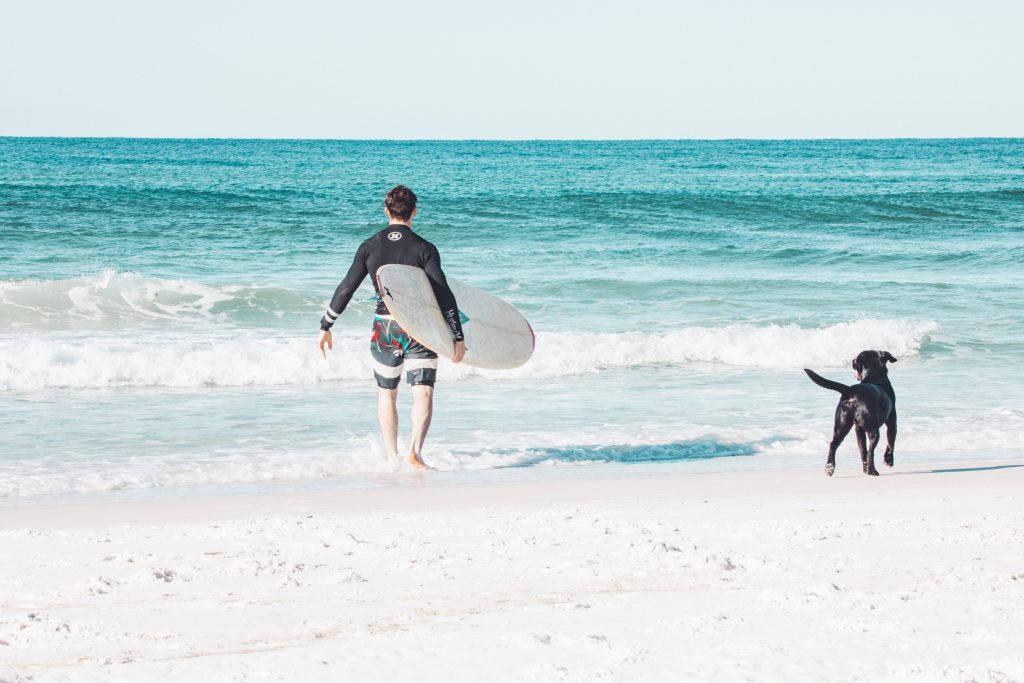 Dogs love to enjoy the surf too