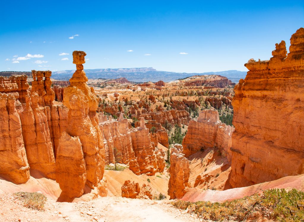 Explore Zion and Bryce Canyon