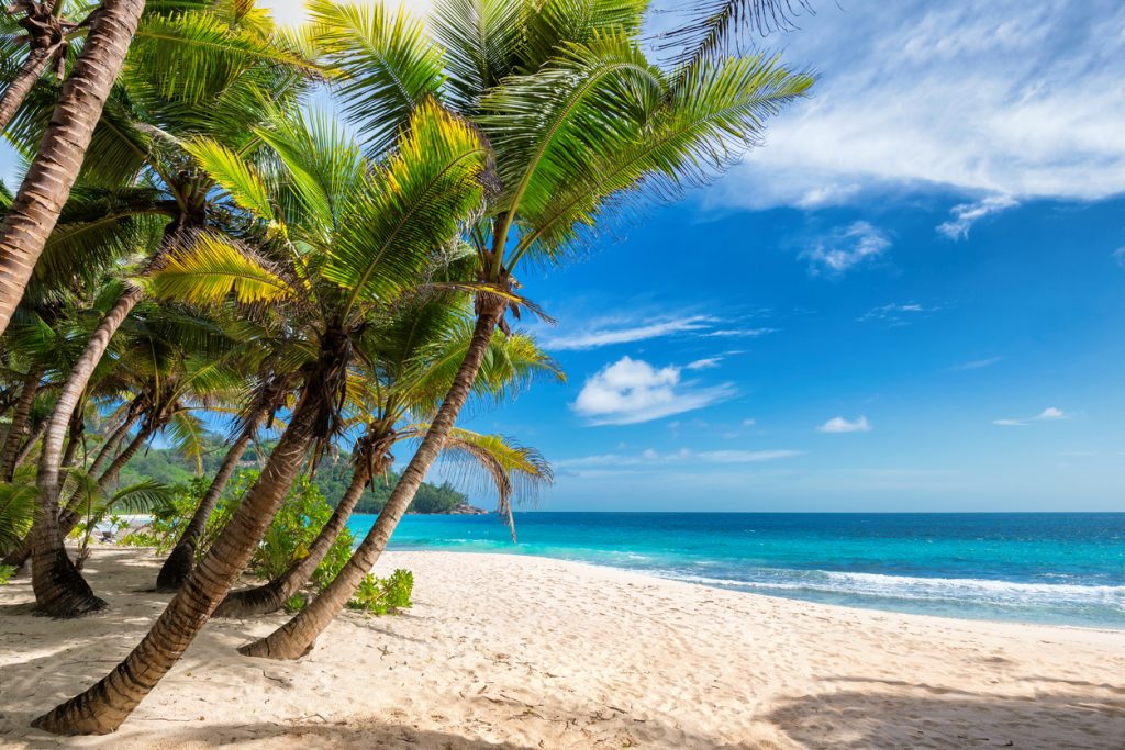 Top 6 Beaches in Hawaii
