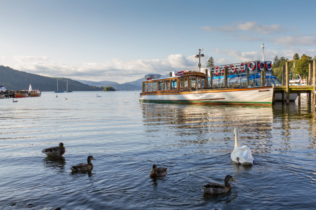 Ducks, Swan and Cruise boat in Lake WIndrmere