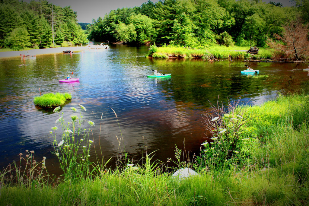 Kayakers On A River