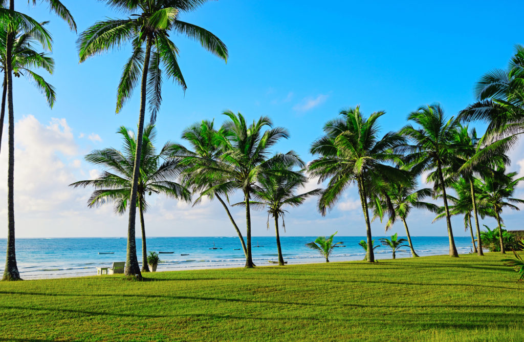 Beautiful tropical coast of Diani in Kenya