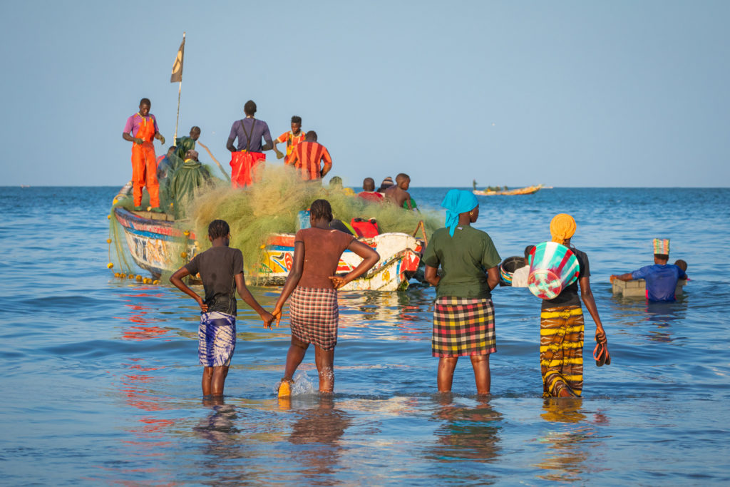 People carrying fish from the boats to the beach