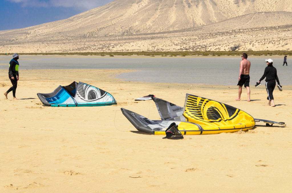 Kites on the beach of Sotavento