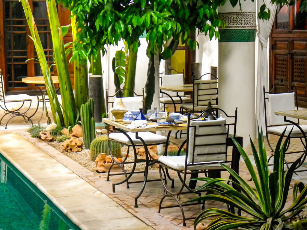 Morning breakfast in Riyadh at the edge of the pool and in the shade of palm trees