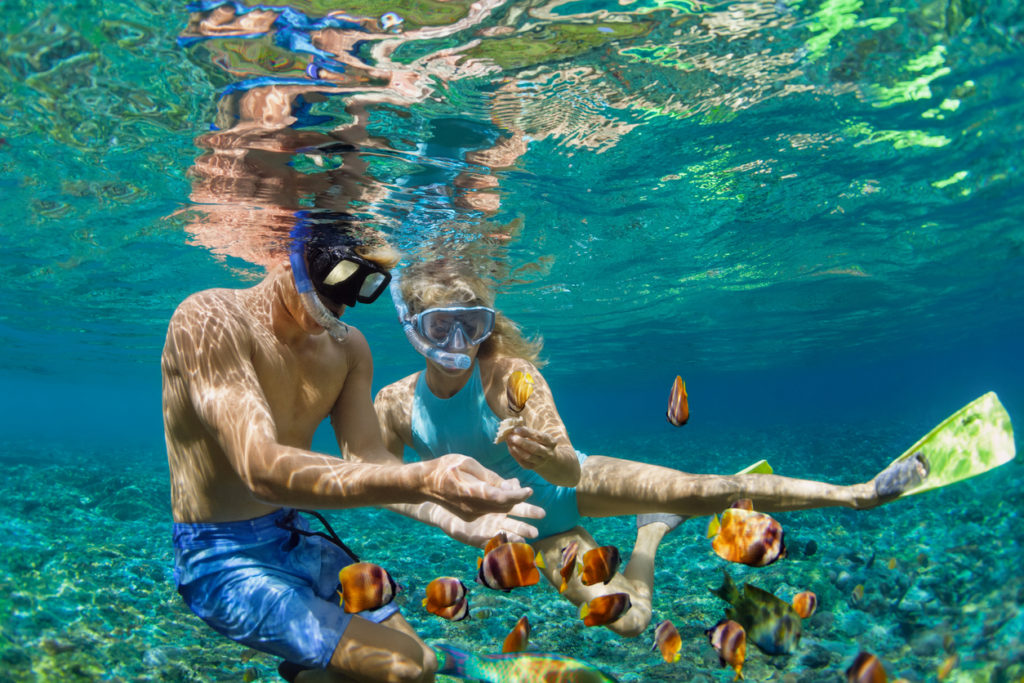 Snorkeling in the Maldives