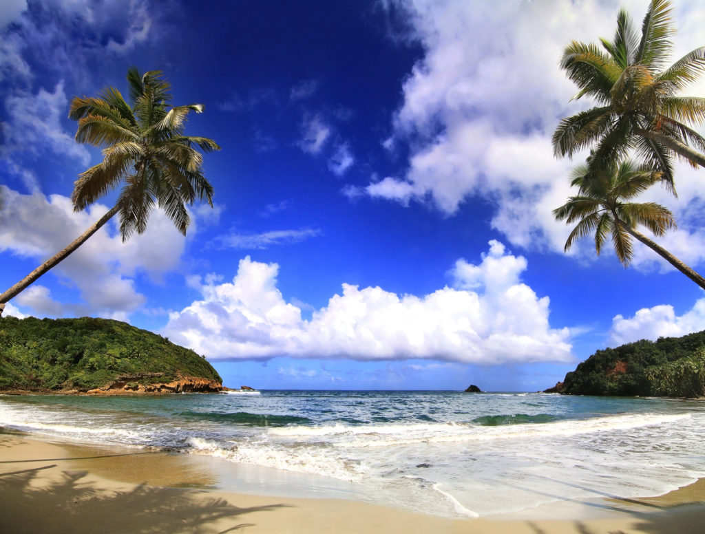 Beautifull beach in Dominica