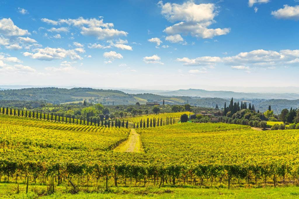 Castelnuovo Berardenga, Siena, Tuscany